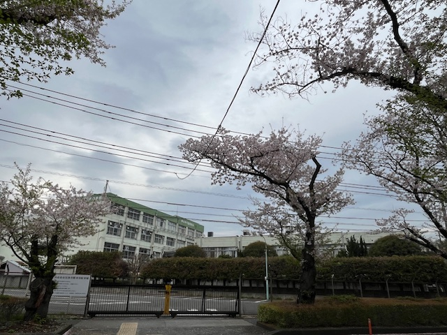 undefined - 2026-04-07T140141.800